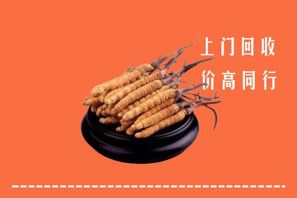 高价求购：临汾尧都回收散虫草