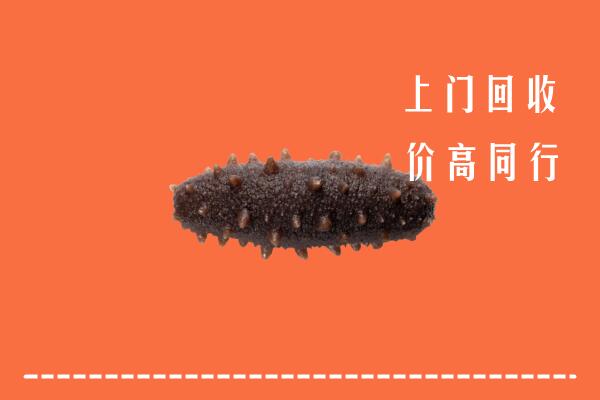 临汾尧都回收海参