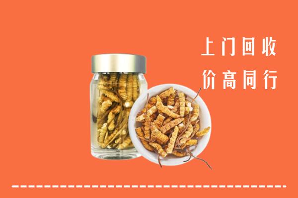 临汾尧都回收冬虫夏草