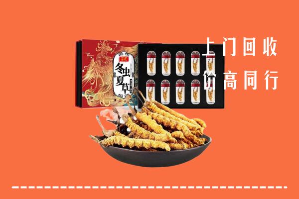 临汾尧都回收虫草
